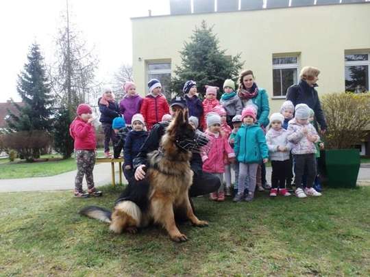 Pies policjant w przedszkolu